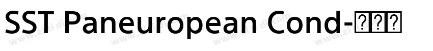 SST Paneuropean Cond字体转换